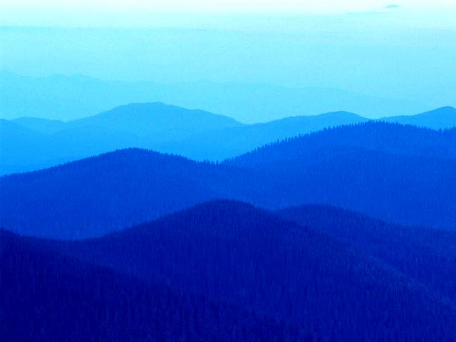 Full_post_1929
