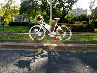 Main_post_10147