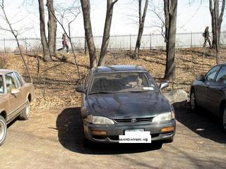 Main_post_1290