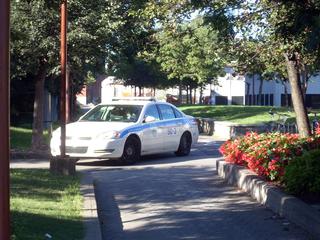Main_post_17542