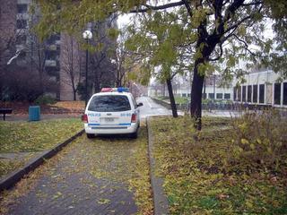 Main_post_17555
