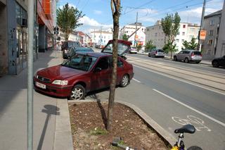 Main_post_19344