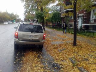 Main_post_21132