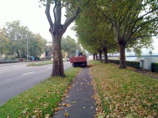 Main_post_21285