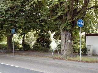 Main_post_21439