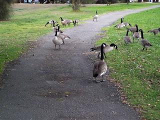 Main_post_21475