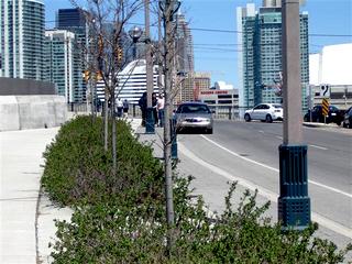 Main_post_2284