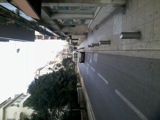 Main_post_30017