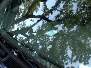 Main_post_644