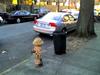 Thumb_post_5962